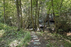 Une zone boisée avec un sentier pavé de pierres qui traverse une forêt dense.