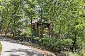 Une cabane entourée d’une forêt dense, accessible par un chemin pavé.