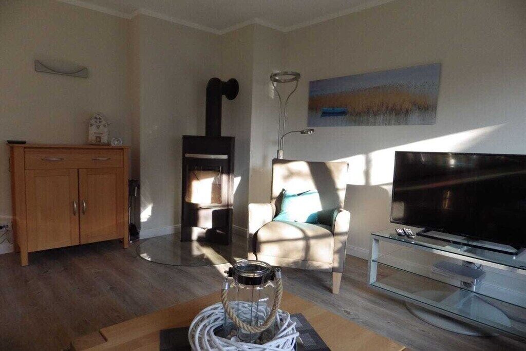 Smart TV, fireplace, DVD player, books