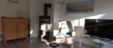 Smart TV, fireplace, DVD player, books