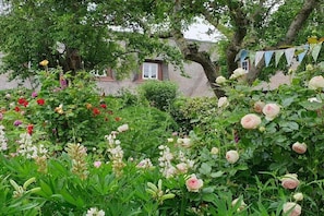 Exterior detail - Holiday home with 3 bedrooms (Oldsum \/Föhr)