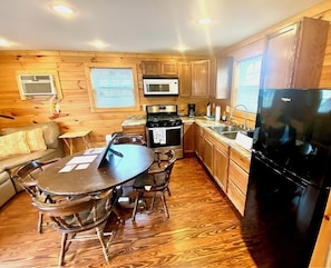 Private kitchen - The Cottage, near Lake Lure, Chimney Rock, TIEC (Mill Spring)