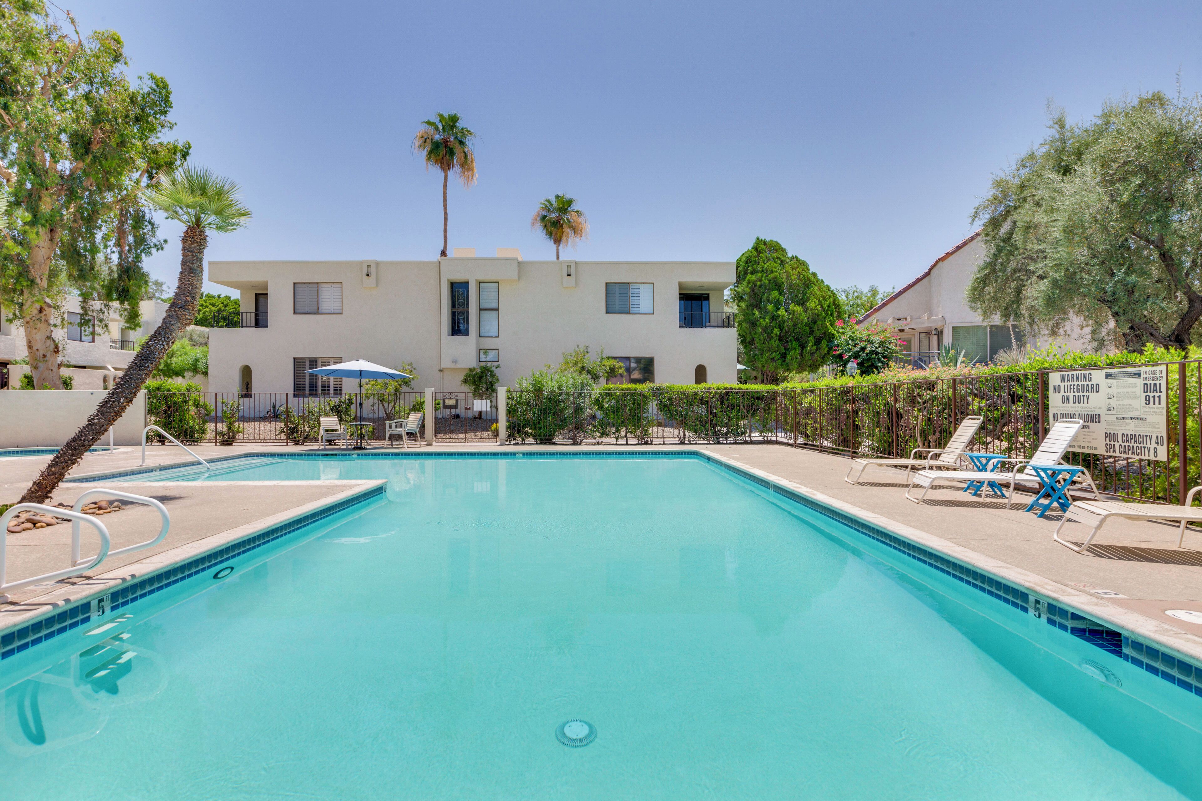 A swimming pool with lounge chairs and a palm tree.