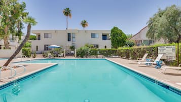 A swimming pool with lounge chairs and a palm tree.
