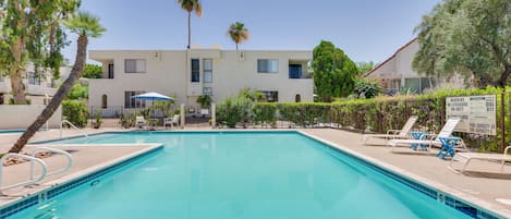 A swimming pool with lounge chairs and a palm tree.