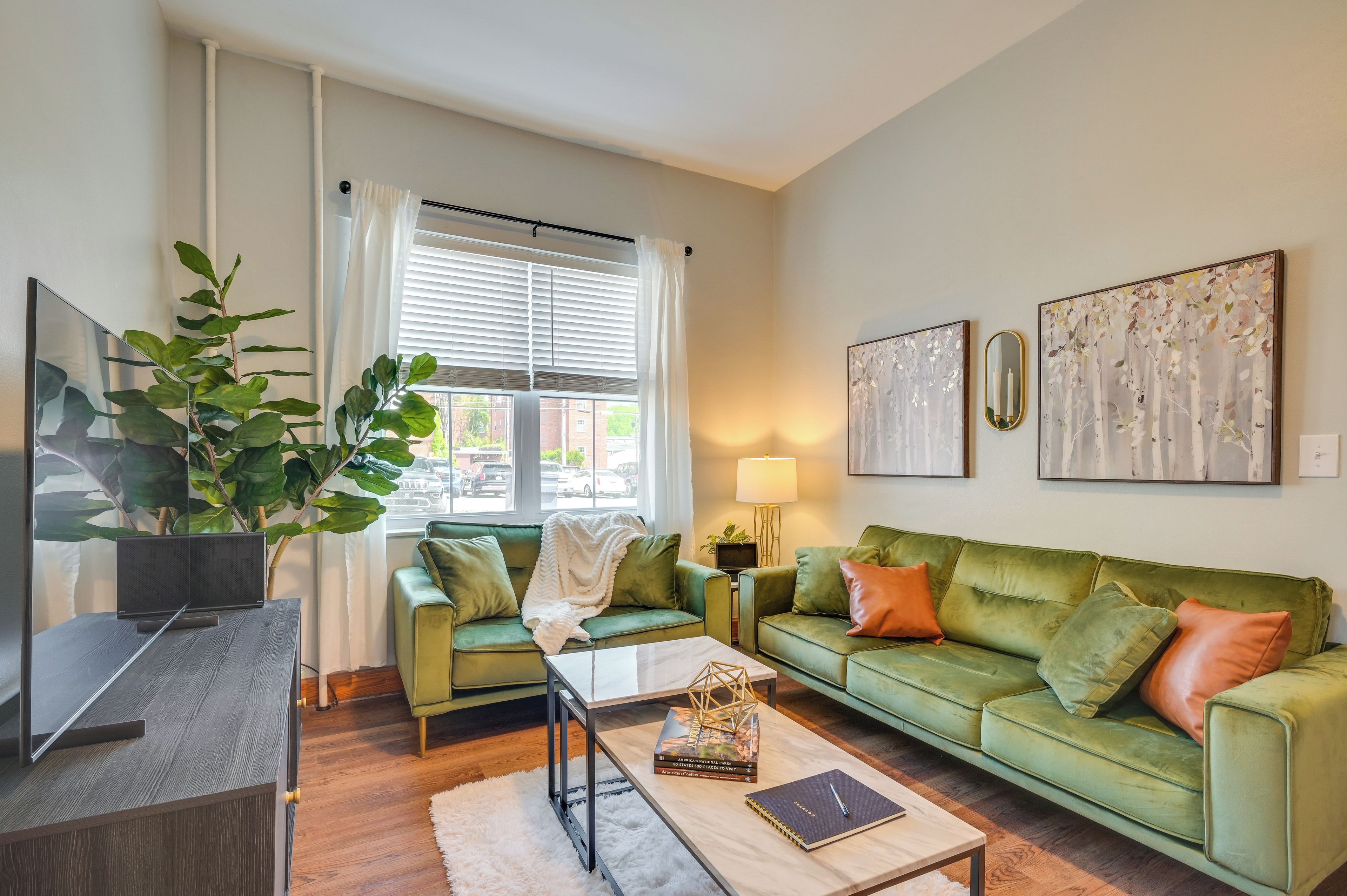 A living room with a green sofa, a coffee table, a TV, and a large plant.