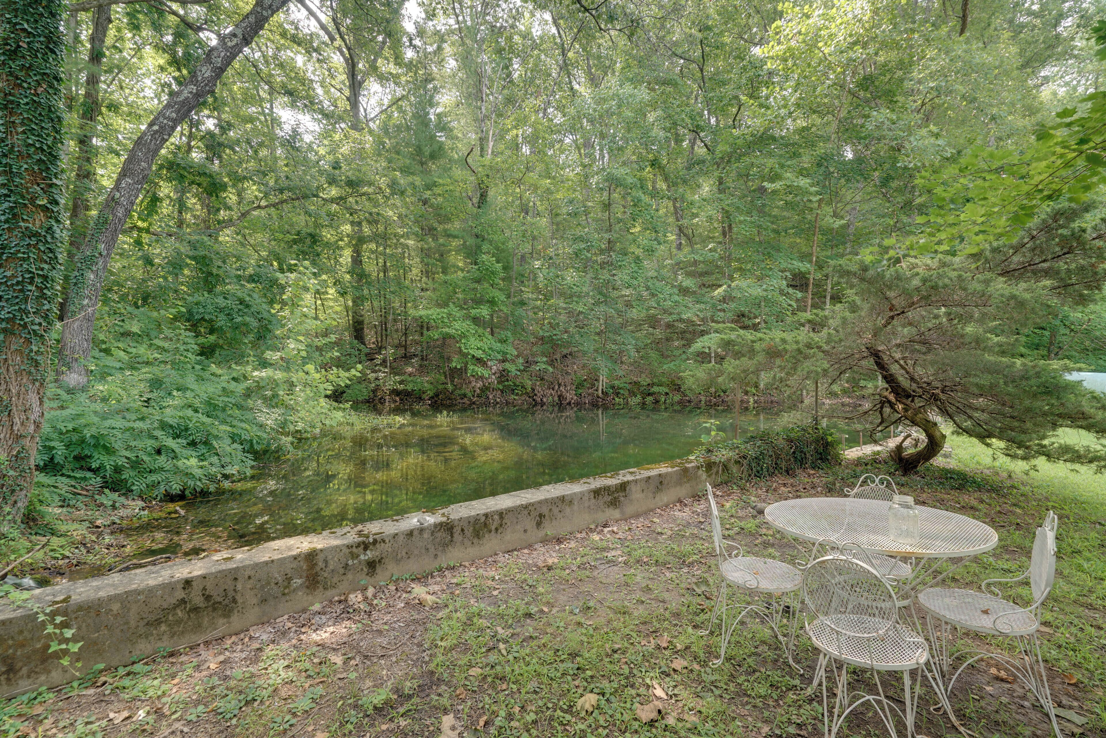 Un espace extérieur paisible, aménagé avec des chaises et une table en métal, entouré d’une végétation luxuriante et bordé d’un plan d’eau tranquille.