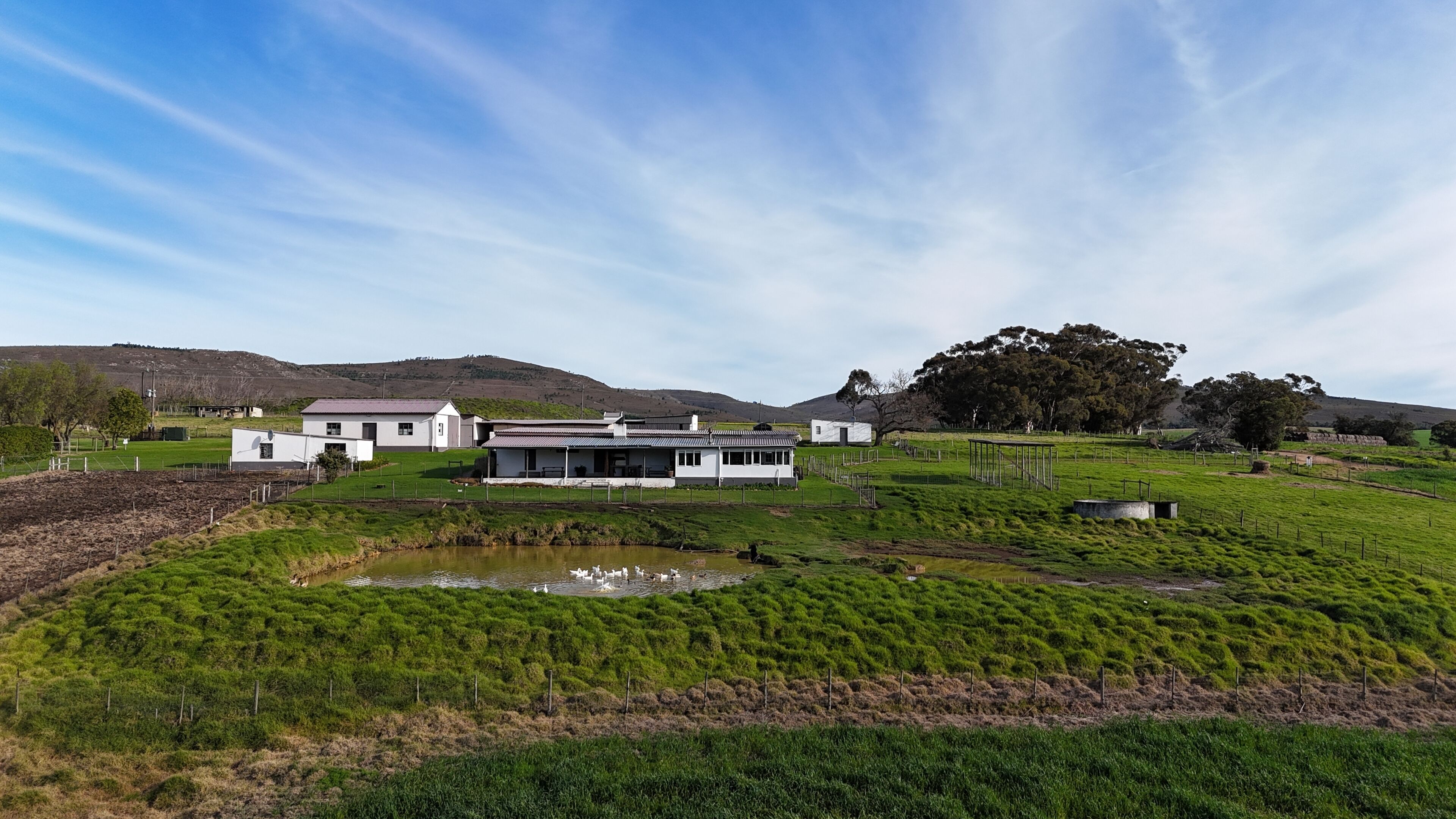 Una casa moderna con un amplio jardín delantero, un estanque y un paisaje montañoso al fondo.