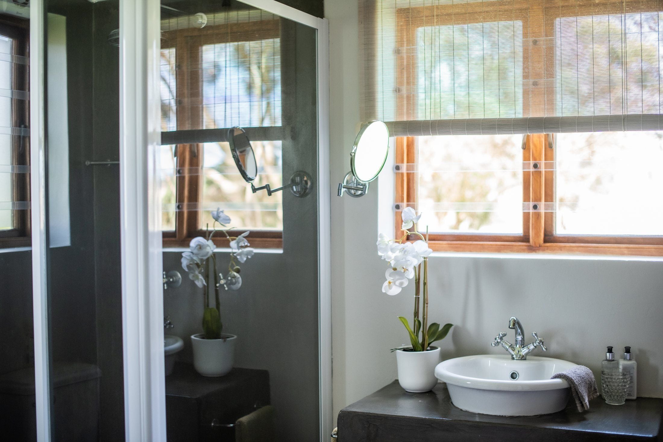 Baño con lavamanos, espejo y dos orquídeas en macetas.