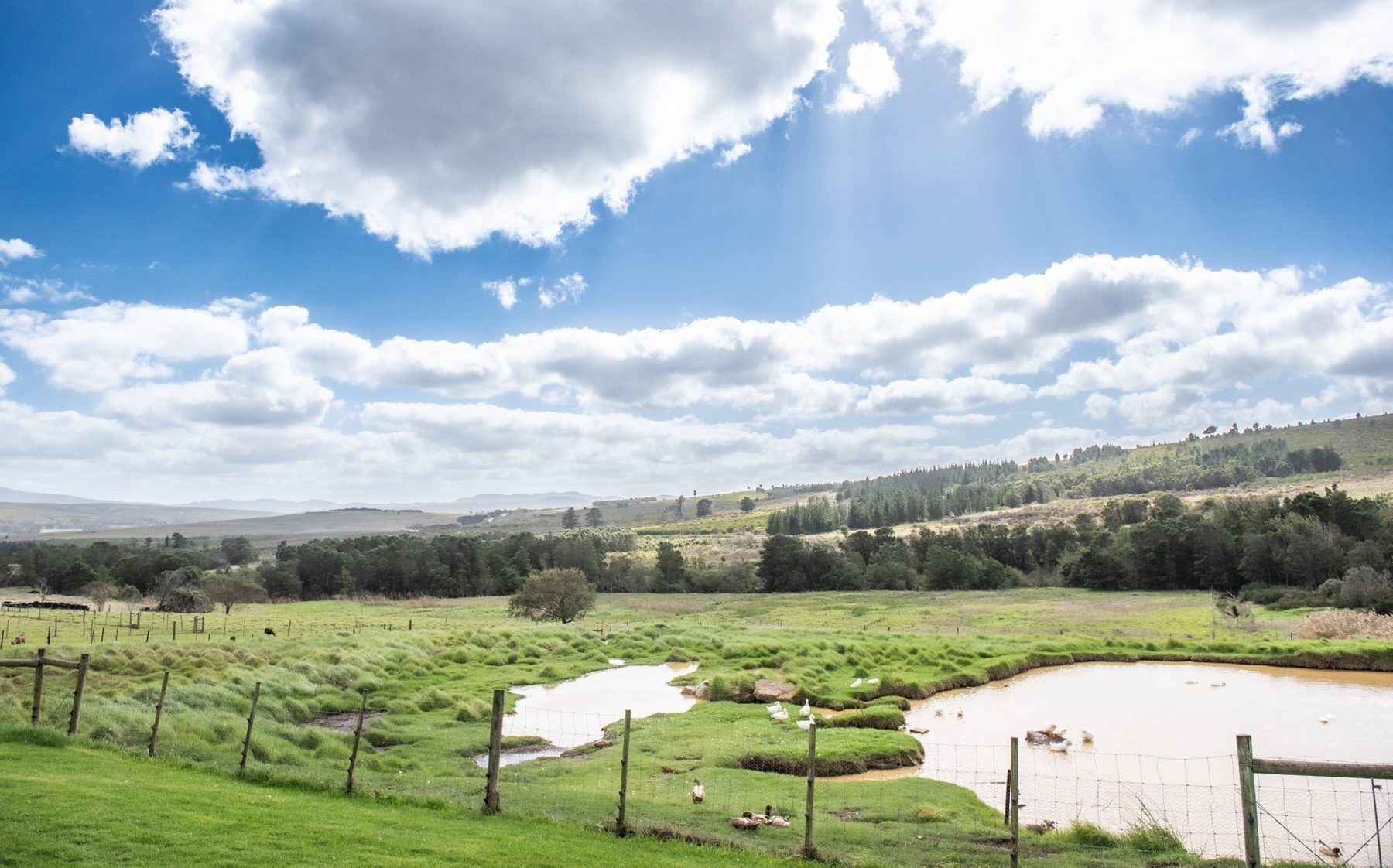 Paisaje rural con un cercado de pastos, un estanque y un fondo montañoso bajo un cielo parcialmente nublado.