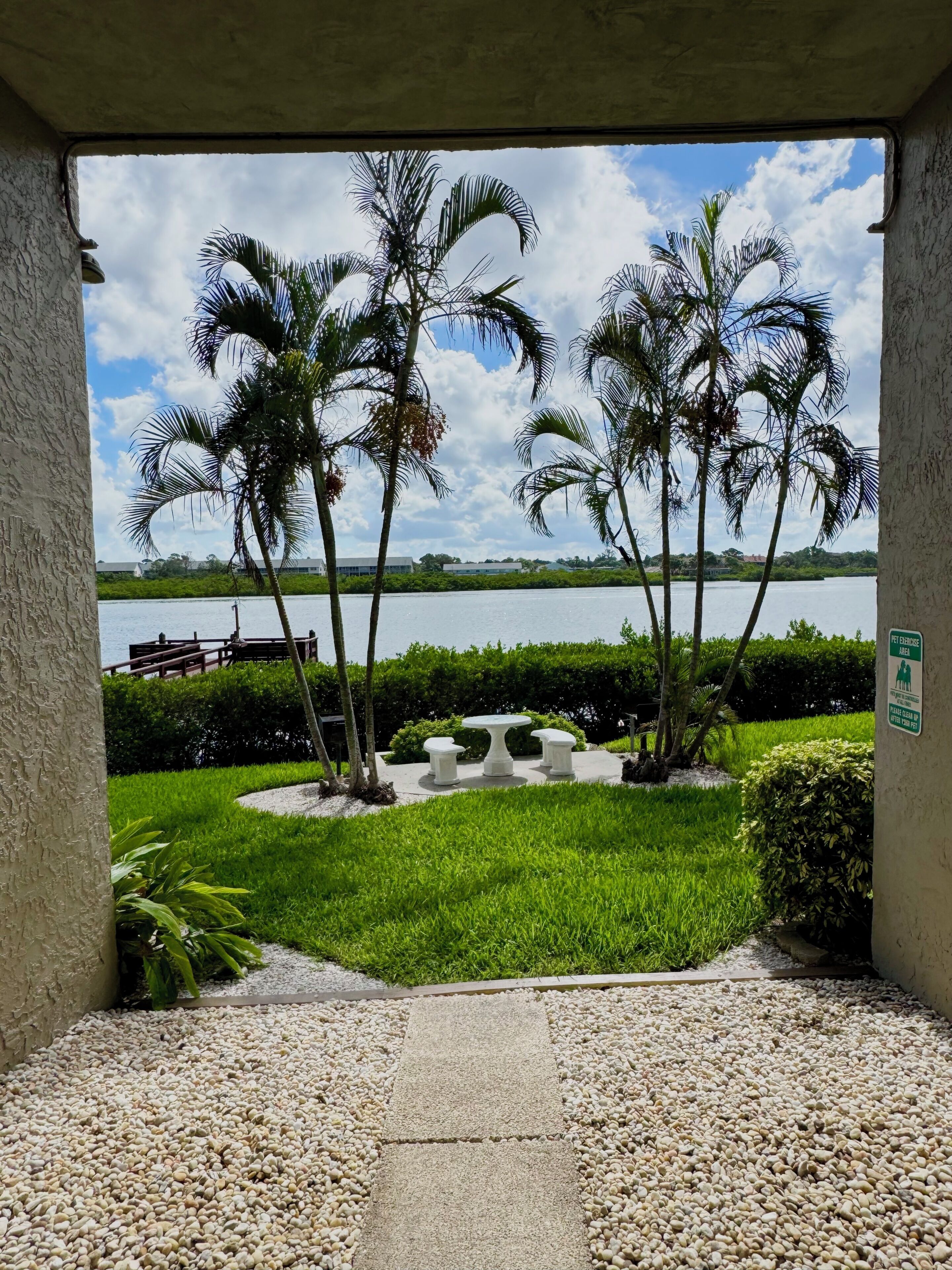 A view of a grassy area with palm trees and a body of water in the background.