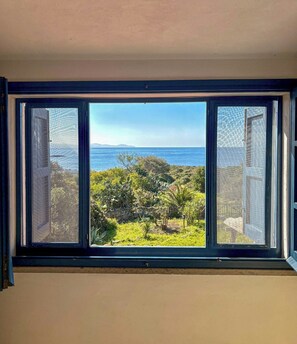 A window with a view of a coastal landscape, including vegetation and the sea.