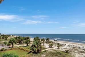A beachfront property with a view of the ocean, a sandy beach, and a grassy area with palm trees. - Beachfront Home | Hot tub | Pet Friendly | Sea Palms (Indian Pass)