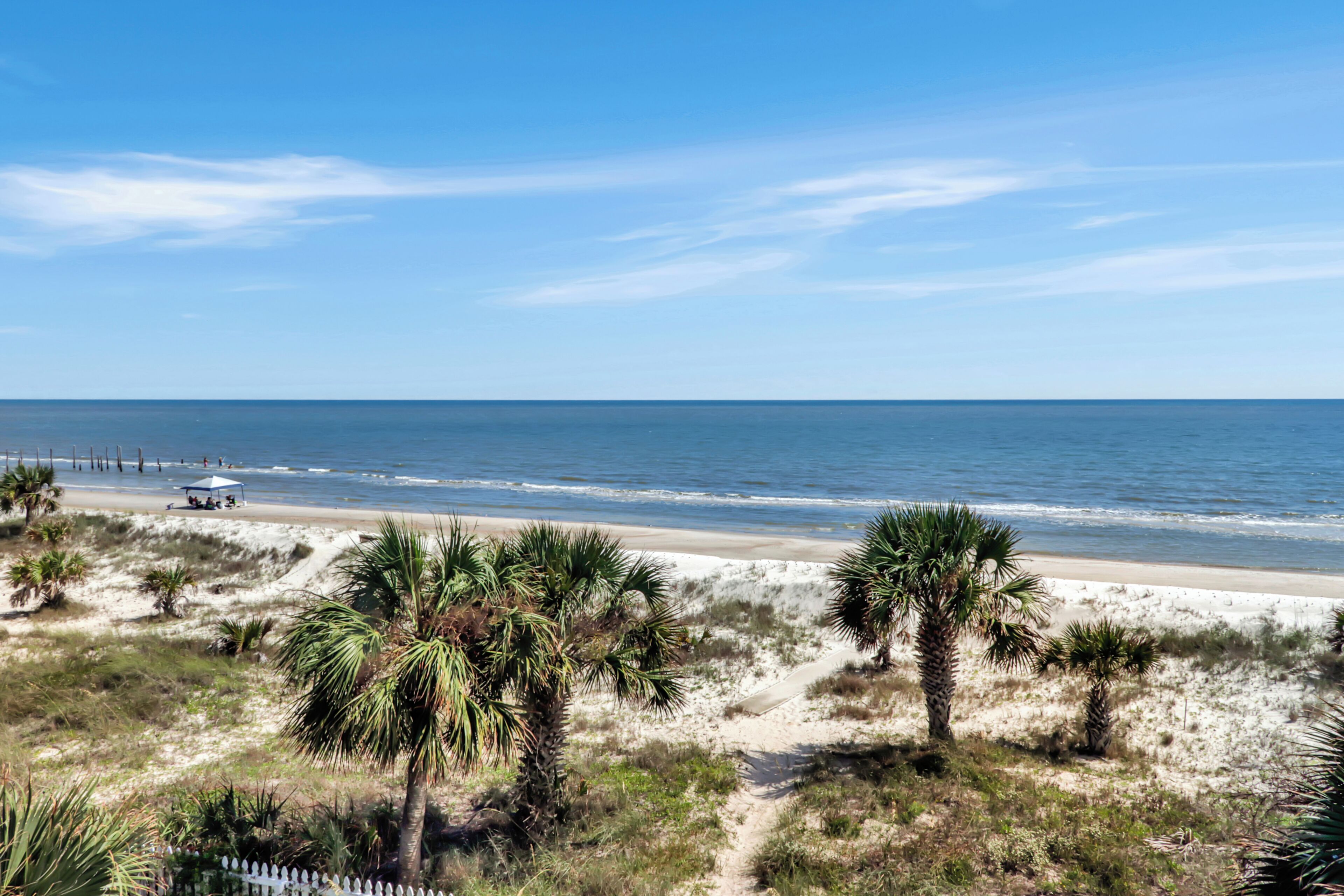 A beach with palm trees and a clear sky.