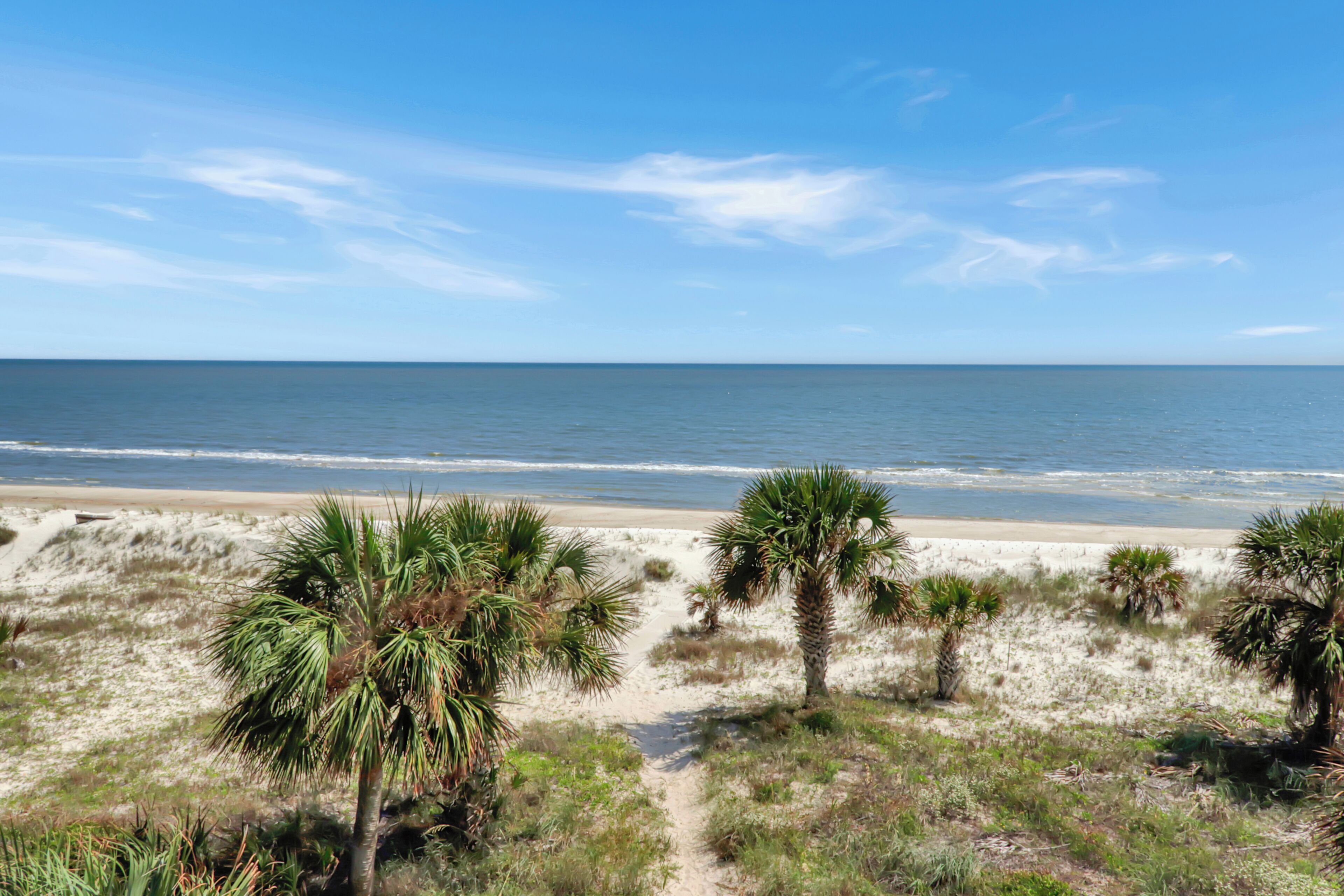 A beach with sand dunes and palm trees.
