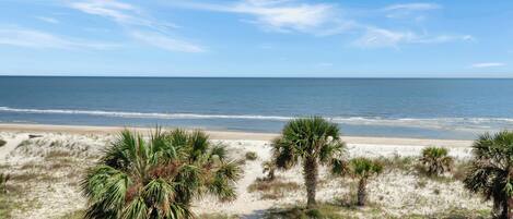 A beach with sand dunes and palm trees.