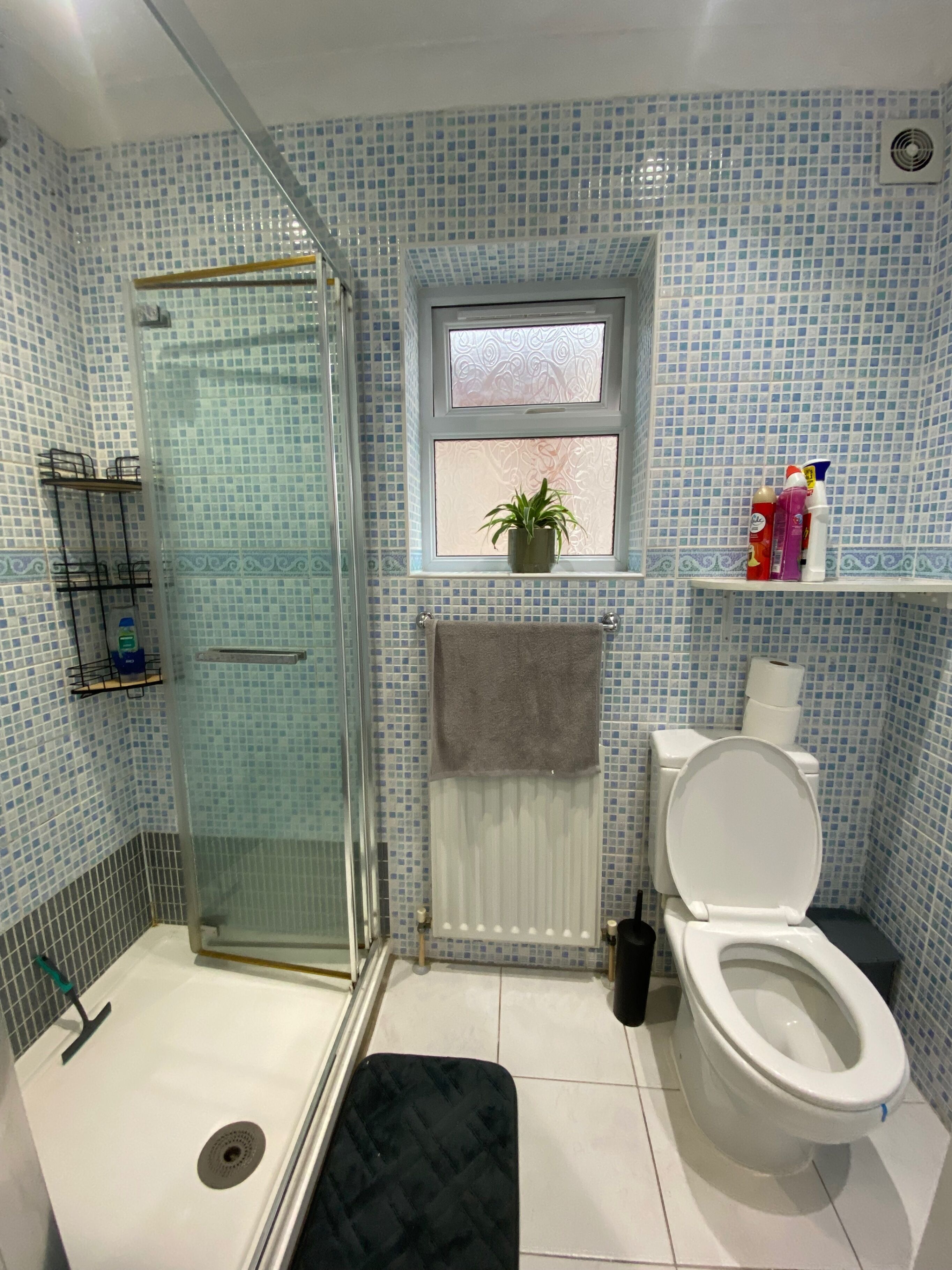 Een badkamer met een glazen douchecabine, een toilet, een raam met een plant en een plank met toiletartikelen.