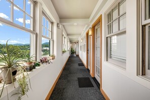 Un pasillo de hotel con ventanas amplias, plantas en macetas y suelo alfombrado.