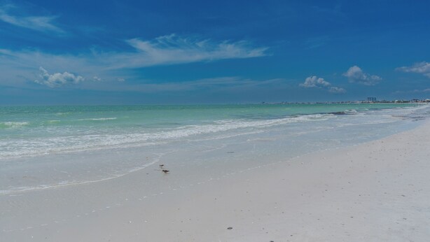 Ein Strand mit blauem Himmel, ruhiger See und Gebäuden in der Ferne.