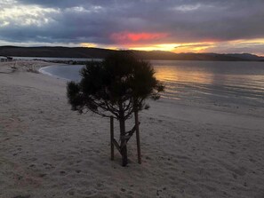 A beach with a single tree in the foreground and a sunset in the background. - Perfect 4-bedroom holiday home with a heated pool and direct sea view (Dramalj)