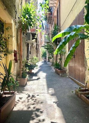 A narrow alleyway with potted plants and buildings on either side. - SANTA CECILIA HOUSE, CENTRO, PALERMO-350, MT, STATION (Palermo)