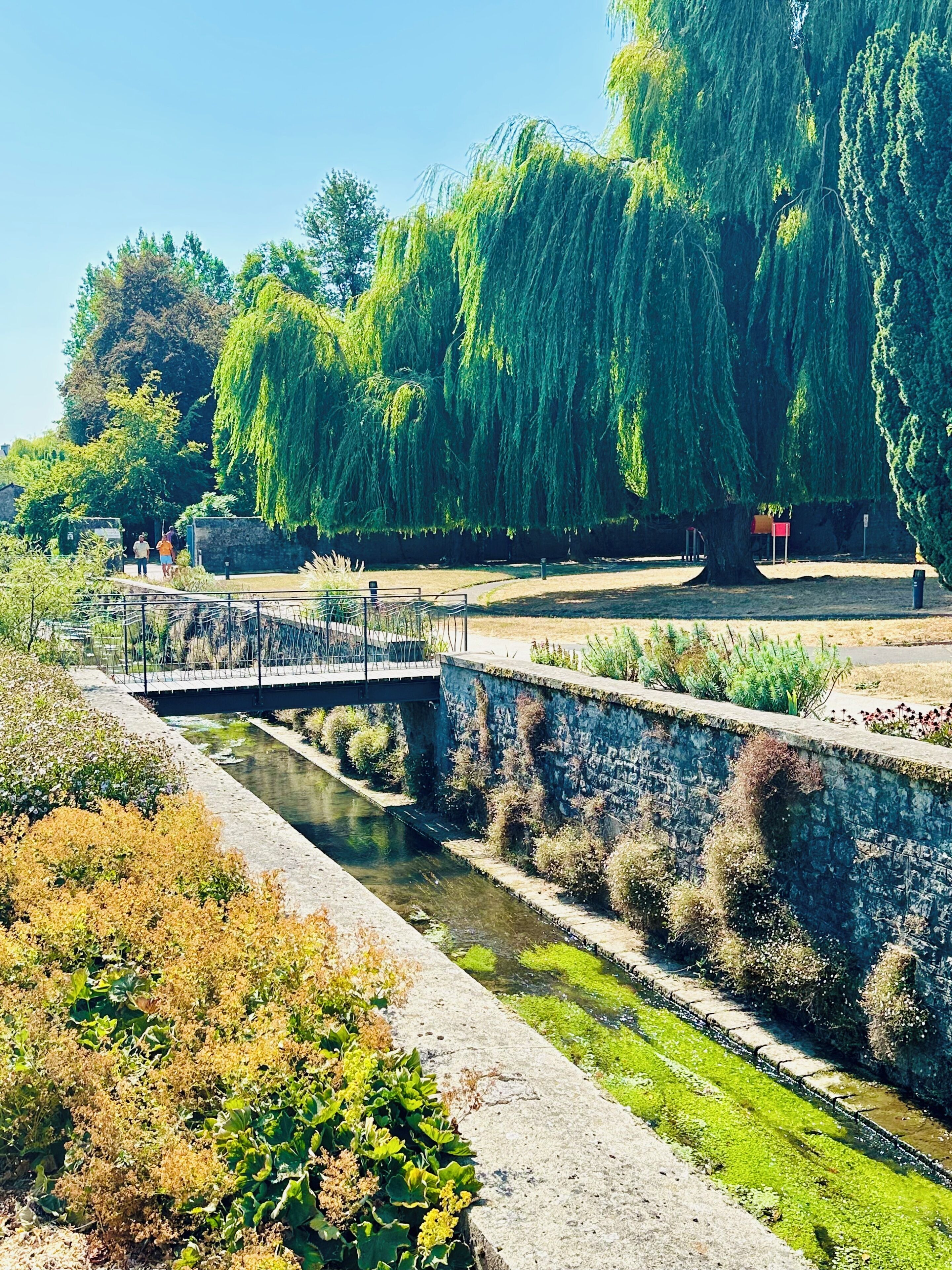 Un parque tranquilo con un canal, abundante vegetación y un puente.