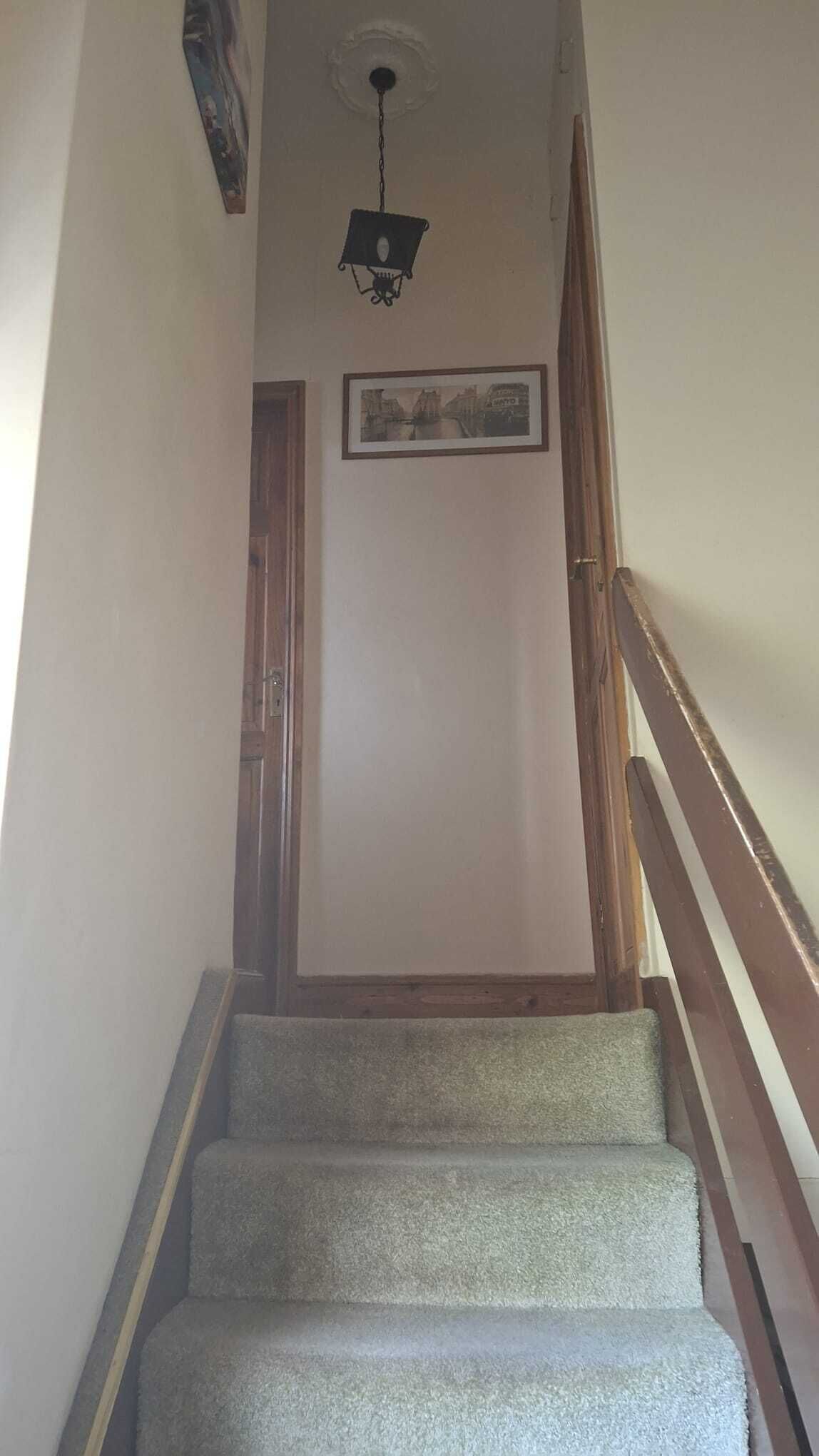 A staircase with carpeted steps, a wooden handrail, and a hanging light fixture.