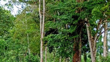 Área de parrilladas y picnic