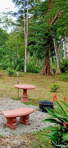 Cabañas y Senderos Finca El Triunfo Caño Negro.