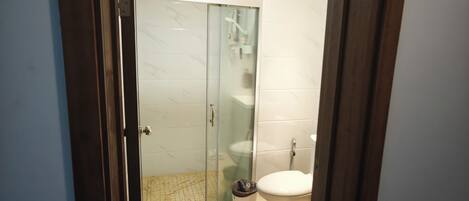 A modern bathroom with a glass shower enclosure, a toilet, and a sink.