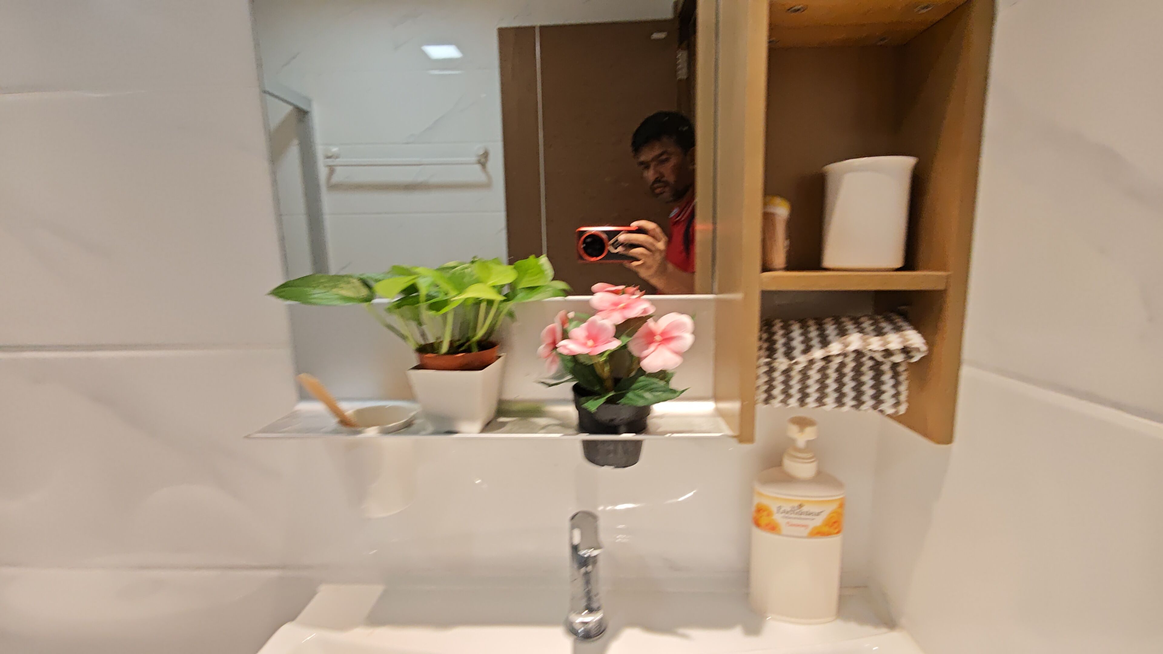 A bathroom with a mirror, sink, potted plants, and a soap dispenser.