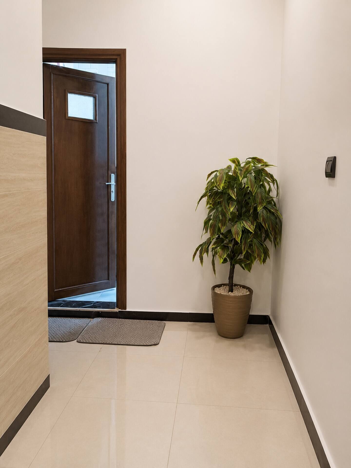 Un couloir avec une porte en bois, une plante en pot et un paillasson.