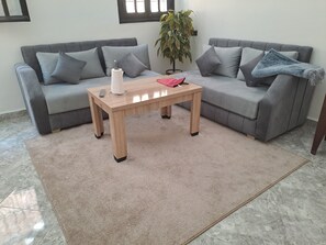 A living room with a grey sofa, a wooden coffee table, and a beige carpet.