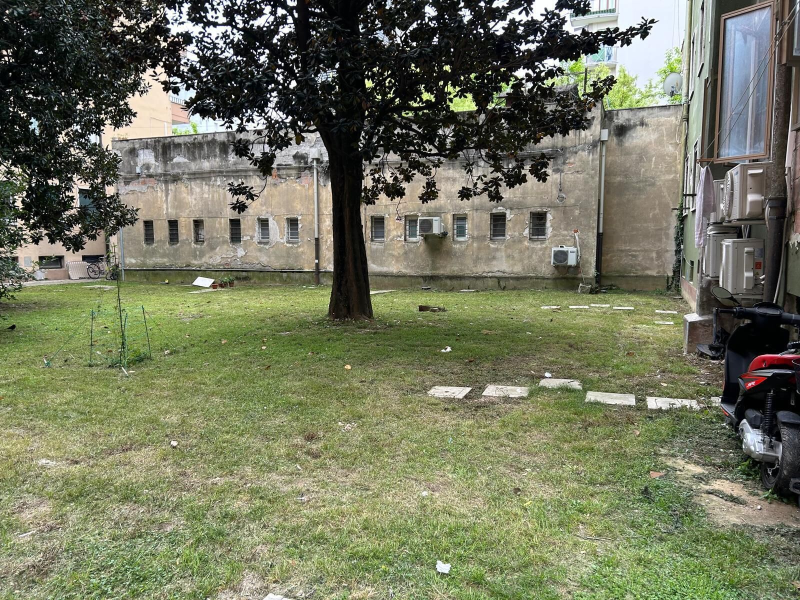 A courtyard with a tree, a building with multiple windows, and a parked motorcycle.