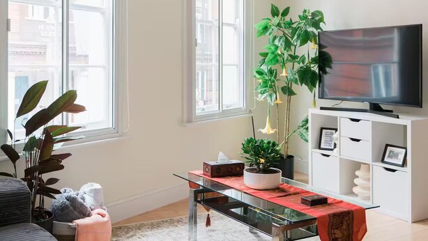 A modern living room with a sofa, a glass coffee table, a TV, and a potted plant. - Cosy One-Double room flat near Big Ben (London)