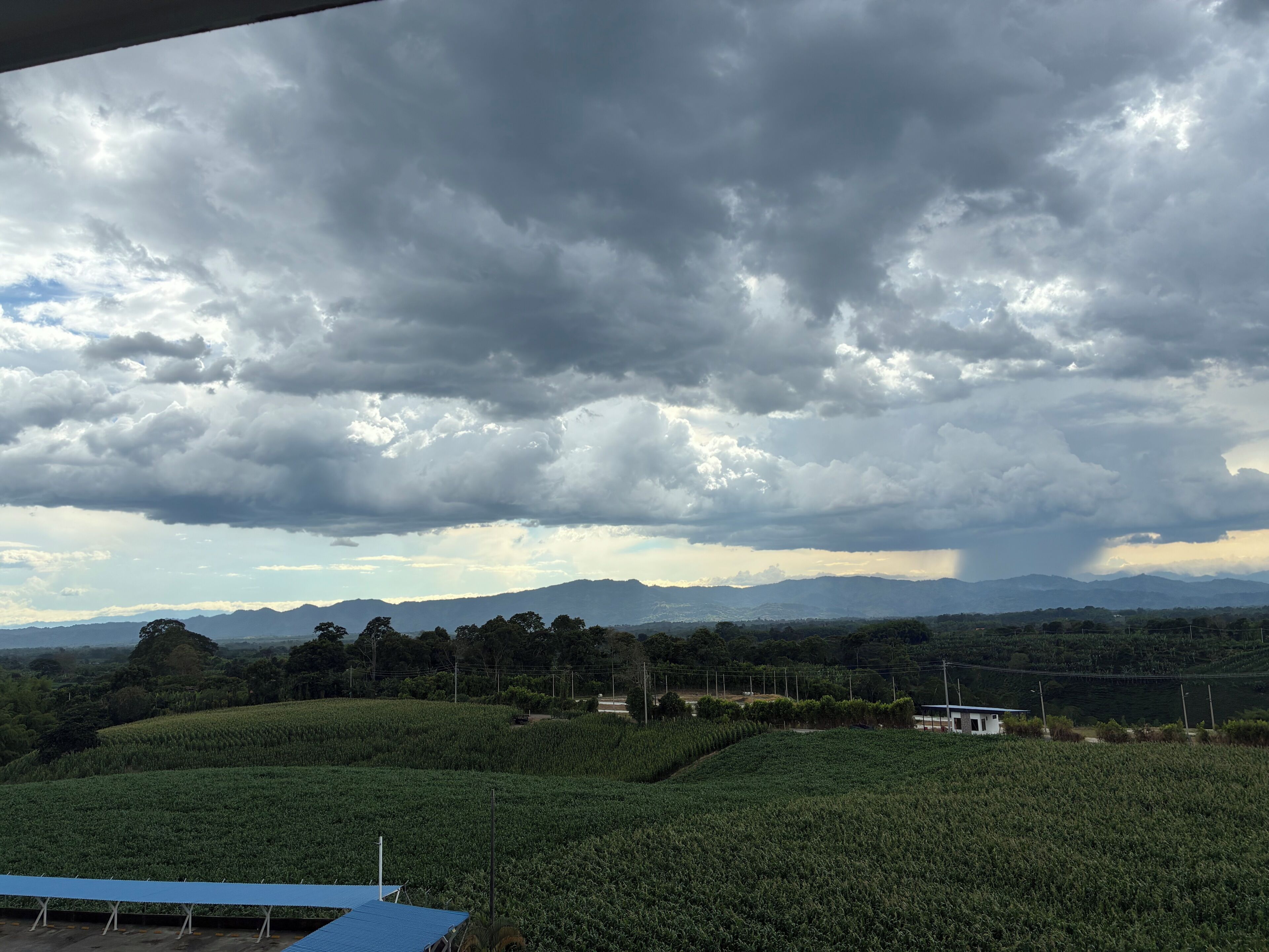 View from property