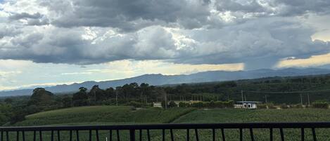 A balcony with a view of a green landscape and distant mountains under a cloudy sky.