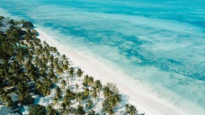 Eine Vogelperspektive eines Strandes mit weißem Sand, klarem türkisblauem Wasser und einer Reihe von Palmen.