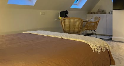 Centrally between Ghent & Antwerp, Cosy attic room in a fully private building