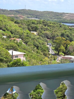 A residential area with houses surrounded by dense greenery and a hill in the background. - Hillside Escape with Stunning Ocean Horizon Views (St Thomas)