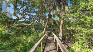 Un paseo marítimo de madera que atraviesa un bosque frondoso y verde, con árboles altos y vegetación densa.