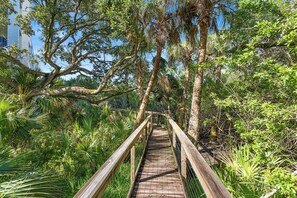 A wooden boardwalk through a lush, green forest with tall trees and dense foliage. - 🌊 Oceanwalk 15-503 | Non-Drive Beach NSB | Soaking Tub + 2 Pools (New Smyrna Beach)