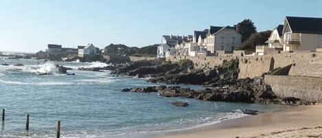 Strand