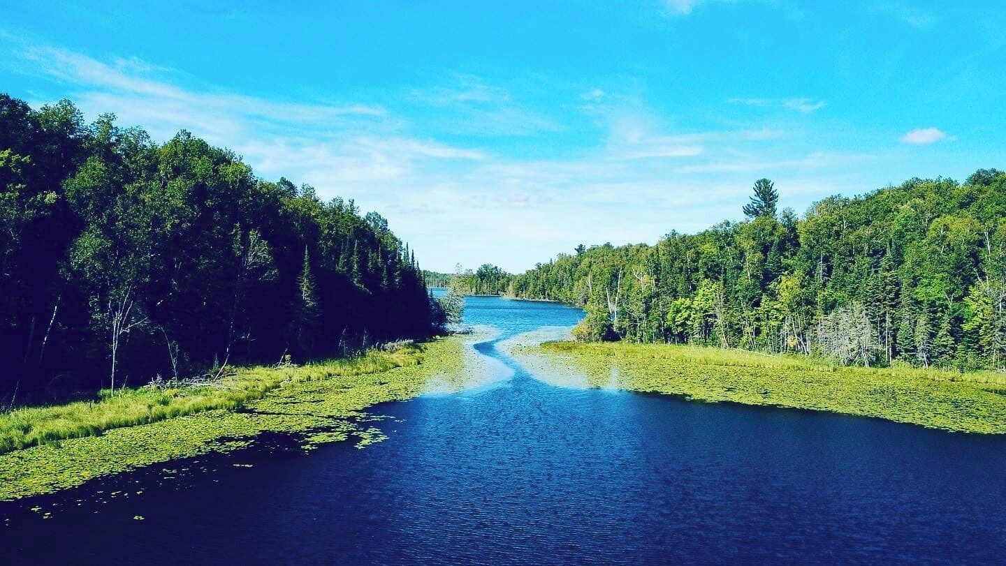 Ein Fluss, der von dichten Wäldern gesäumt wird, unter blauem, wolkenlosem Himmel.