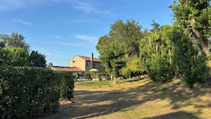 A house with a tiled roof, surrounded by dense greenery and a clear sky. - Mini Appartamento 40mq - 3 (Veneto)