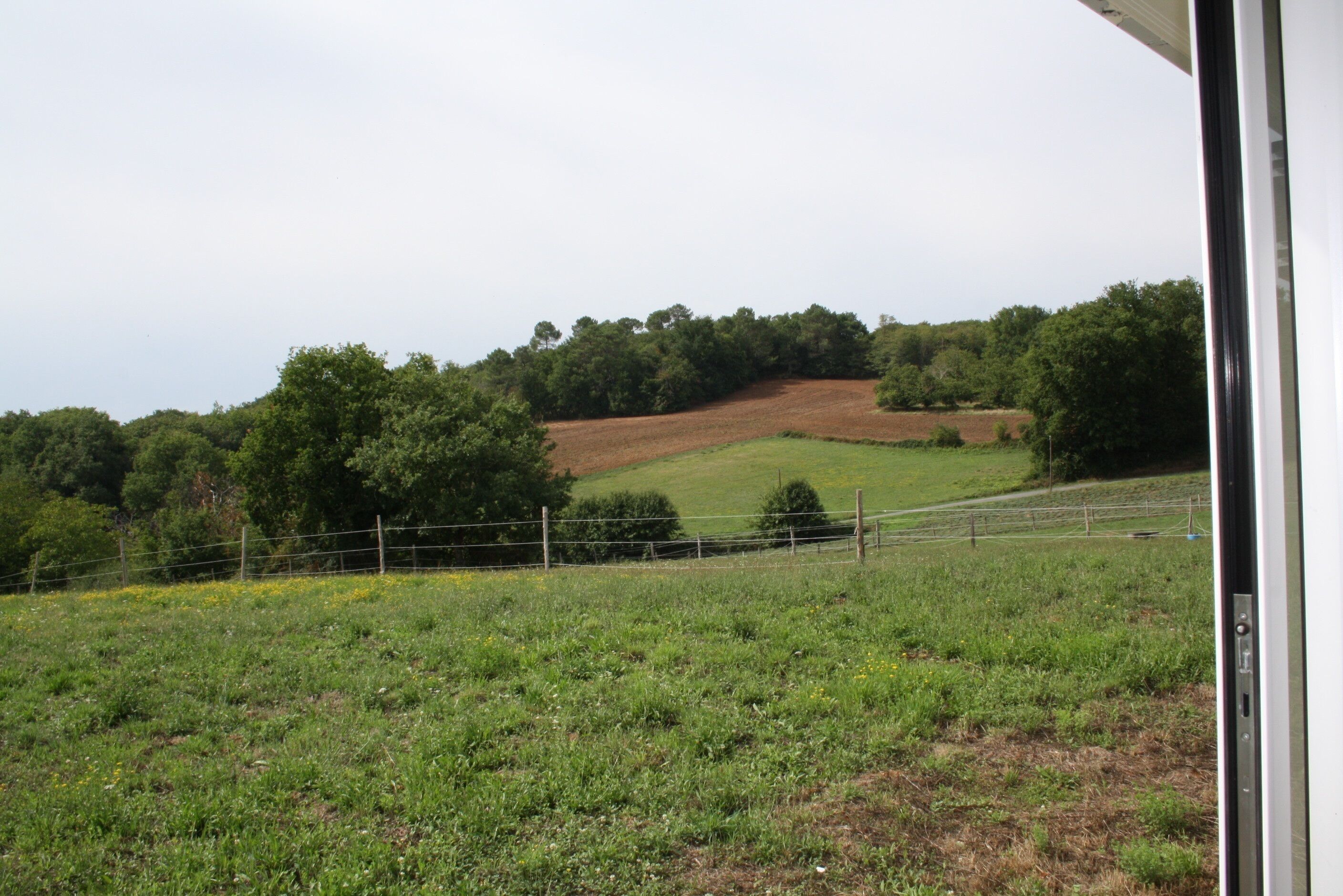 A rural landscape with a field, trees, and a fence.