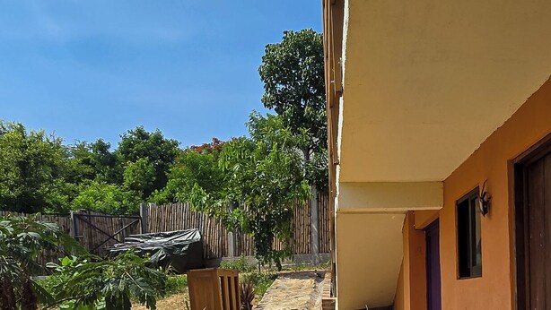 Uma área externa pavimentada com plantas em vasos e um caminho de pedra que leva à entrada de um edifício.