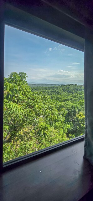 Ein Fenster mit Blick auf dichtes Grün und ferne Hügel.