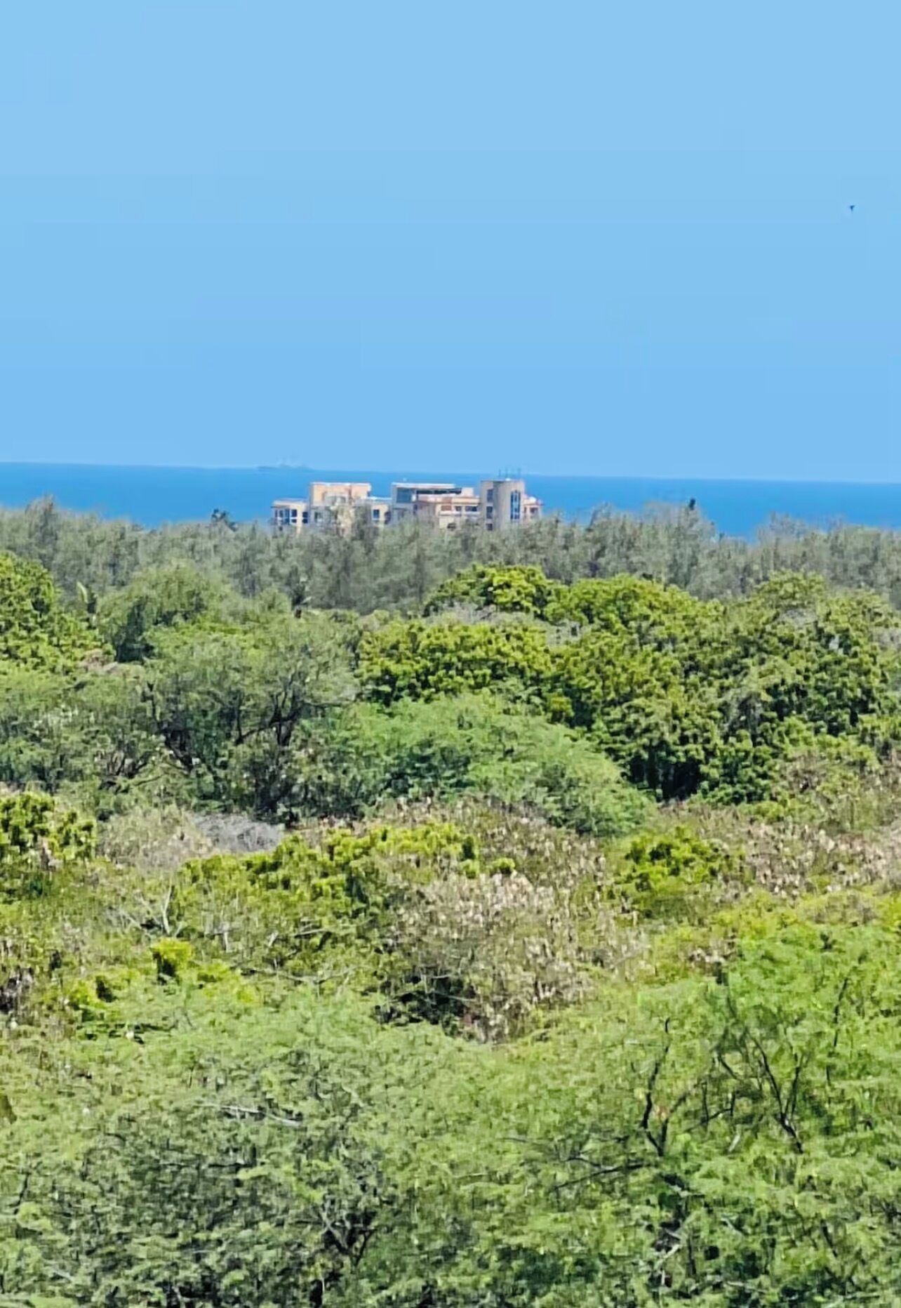 A coastal building surrounded by dense greenery.