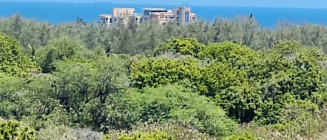 A coastal building surrounded by dense greenery.